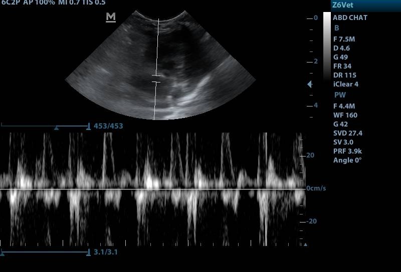 Échocardiographie Doppler réalisée à la clinique