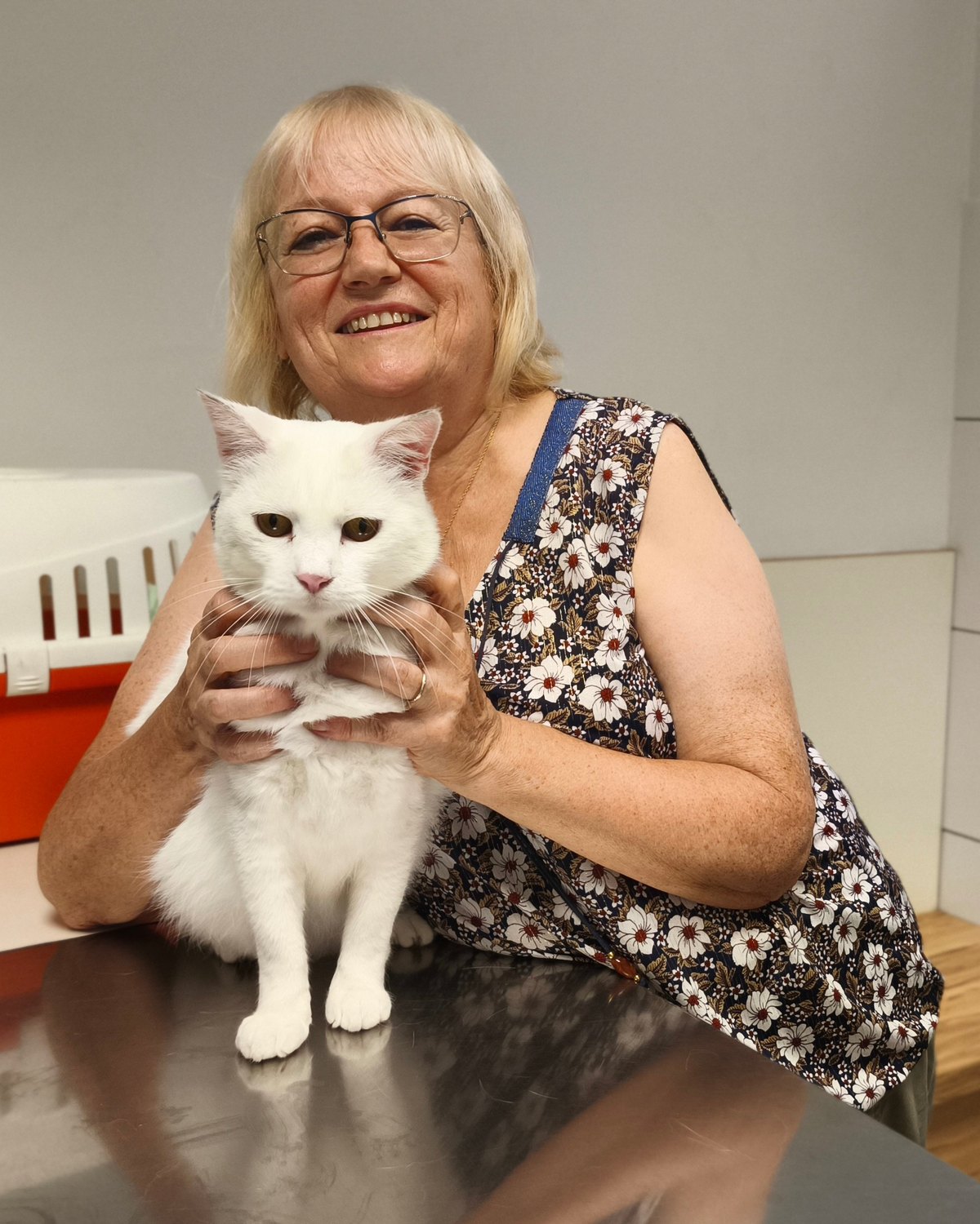 Propriétaire et son chat blanc à la clinique
