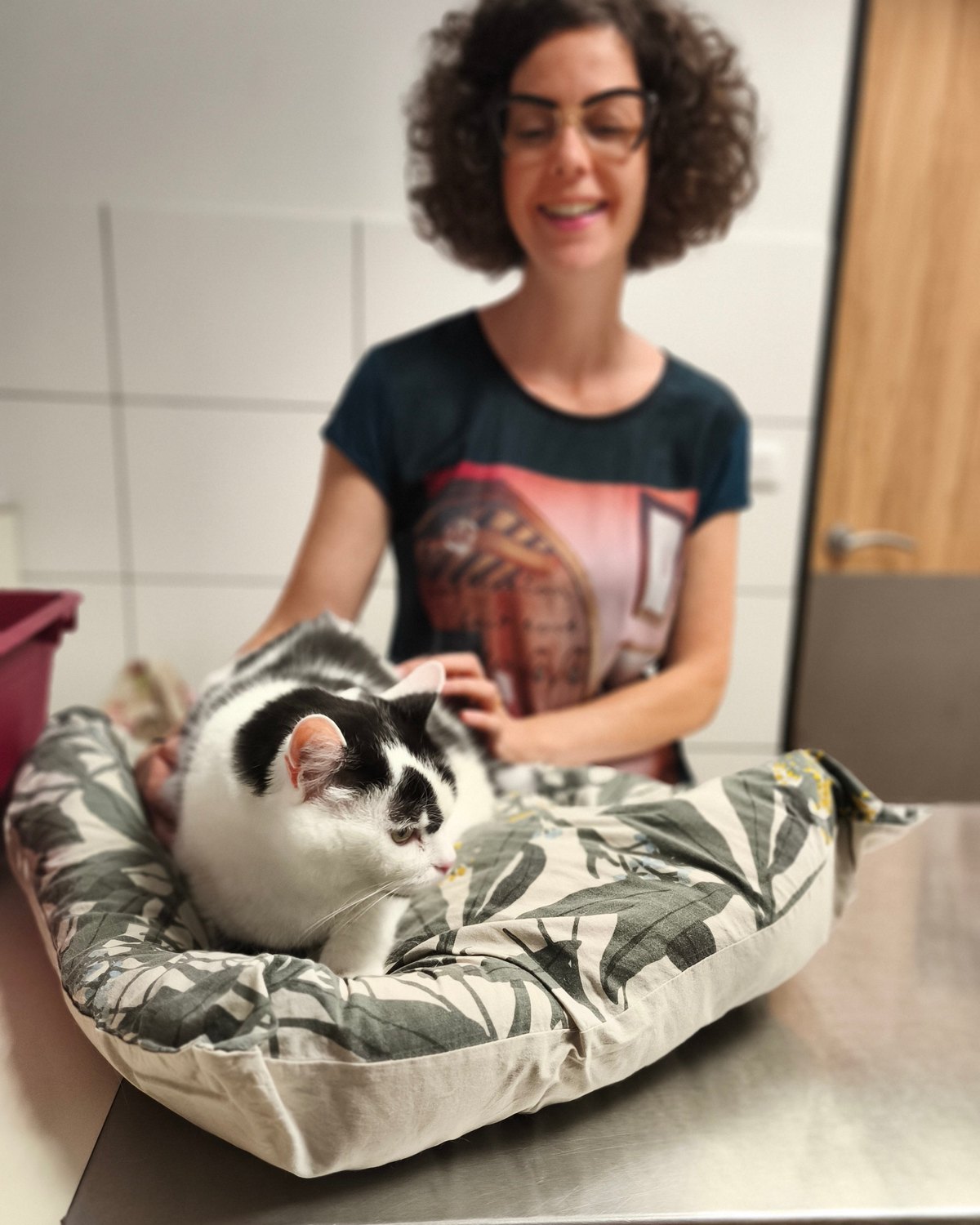 Propriétaire et son chat noir et blanc sur un coussin, à la clinique