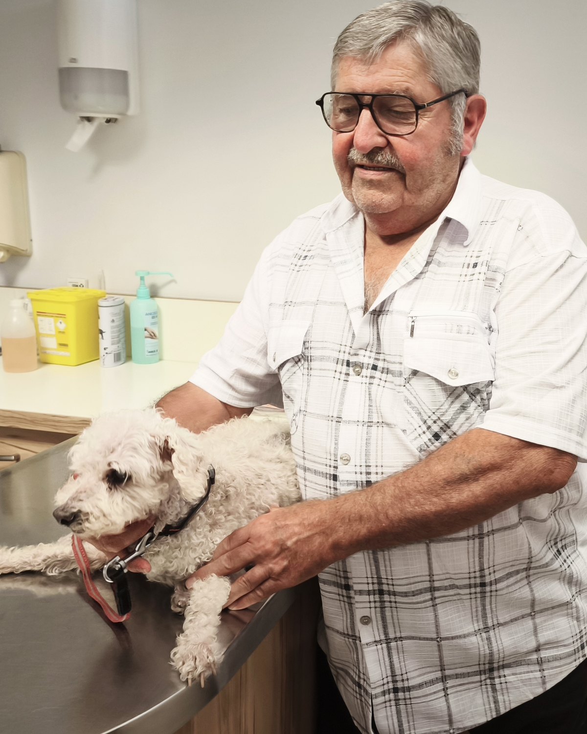 Propriétaire et son caniche à la table de consultation